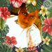 Young Amos - Facebook