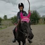 Young Archer & Ponies - @horsebackarchery_journey - Instagram