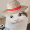 Shin - @younggshin - TikTok