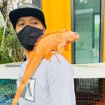 Samart Thamniyom - @youngwoodcustom - Instagram