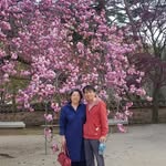 youngman kwon - @artzzang - Instagram