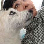 Youngmee Kim - @youngmeekim - Instagram