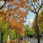 Youngsook Lee - @chocolys66 - Instagram