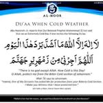 Alvina Yousaf - @yousafalvina - Instagram