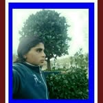 Yousaf Alvi Awan - @yousafawan707 - Instagram