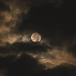 Malik Yousaf - @yousaf._.malik_ - Instagram