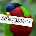 Yousaf Munir - @yousaf6474 - Instagram