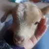 Yousef AlMulla - @travesuras_by_yousef - TikTok