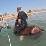 Yousef Almulla - @yousefalmulla - Instagram