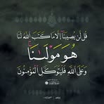 Yousef Aly - Facebook