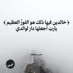 Yousef Aly - Facebook