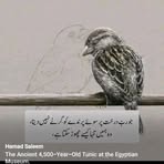 Yousaf Saab - Facebook