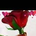 Youseline Jean - Facebook