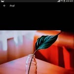 Youssef Adib - @youssef.adib.319 - Instagram