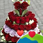 Youssef Adib - @youssef.adib.37604 - Instagram
