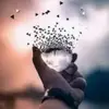 خريف العمر - @youssef.dirani3 - TikTok