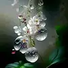 Youssef Dirani - @youssef.dirani6 - TikTok