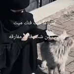Youssef Matar - @_ysl2ll - Instagram