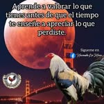 yovani vidal - @yova.ni1127 - Instagram