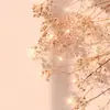 ysabel.herrera175 - @ysabel.herrera175 - TikTok