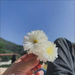 Yusu Khatri - @yusukhatri - Instagram
