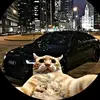 yudi teshima👻 - @yudi.teshima - TikTok