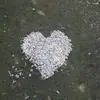 YU Wen Xiao - @yu.wen.xiao - TikTok