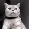 yuxuan64743 - @yuxuan64743 - TikTok