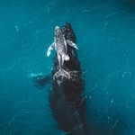 Yuan Jiang - @yuan.jiang.real - Instagram
