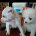 Yuan Lou - Facebook