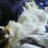 ☃ ̷S̷u̷L̷i̷ت - @yuanweng.0523 - TikTok