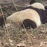 林育祈 - @yuchi.lin.336 - Instagram