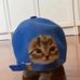 Yue Jing Xuan - Facebook