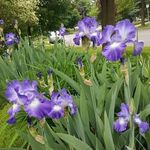 Yuen Yee Chow - @yuenchow - Instagram