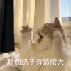 別封 - @weiyuhao2 - TikTok