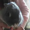 YuJen Lin - @2171842477 - TikTok