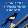 🔴 - @yujinchoi00 - TikTok