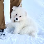 Yuki Adams - @yuki_thecloud - Instagram
