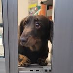 yukio - @yukiohamada34 - Instagram