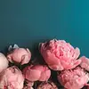 gamdjpjwm - @yukoikeda395 - TikTok