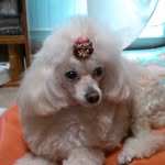 Yuko  ikeda - @yuko_ikeda - Instagram