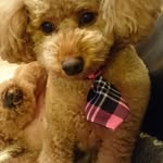 Yuko Ikeda - @yukkosan_nikoniko - Instagram