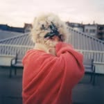 いとう ゆうこ - @yuko__ito - Instagram