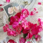 Yuko  Ito - @yuko_ito_photo - Instagram
