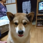 Yuko Ito - @yuine0131 - Instagram
