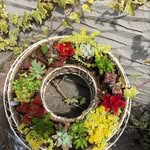 フラワーアレンジメント　花束　寄せ植え - @yuko_ito_hana - Instagram