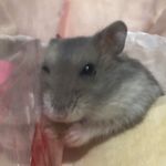 松田 裕子 - @yuko.matsuda.9275 - Instagram