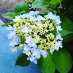 yuko_matsuda - @miyuko.__ - Instagram