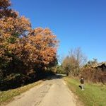 Yuko Matsuda Prost - @yukomatsudaprost - Instagram