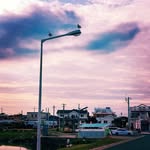 신율 (시인) - @yul___shin - Instagram